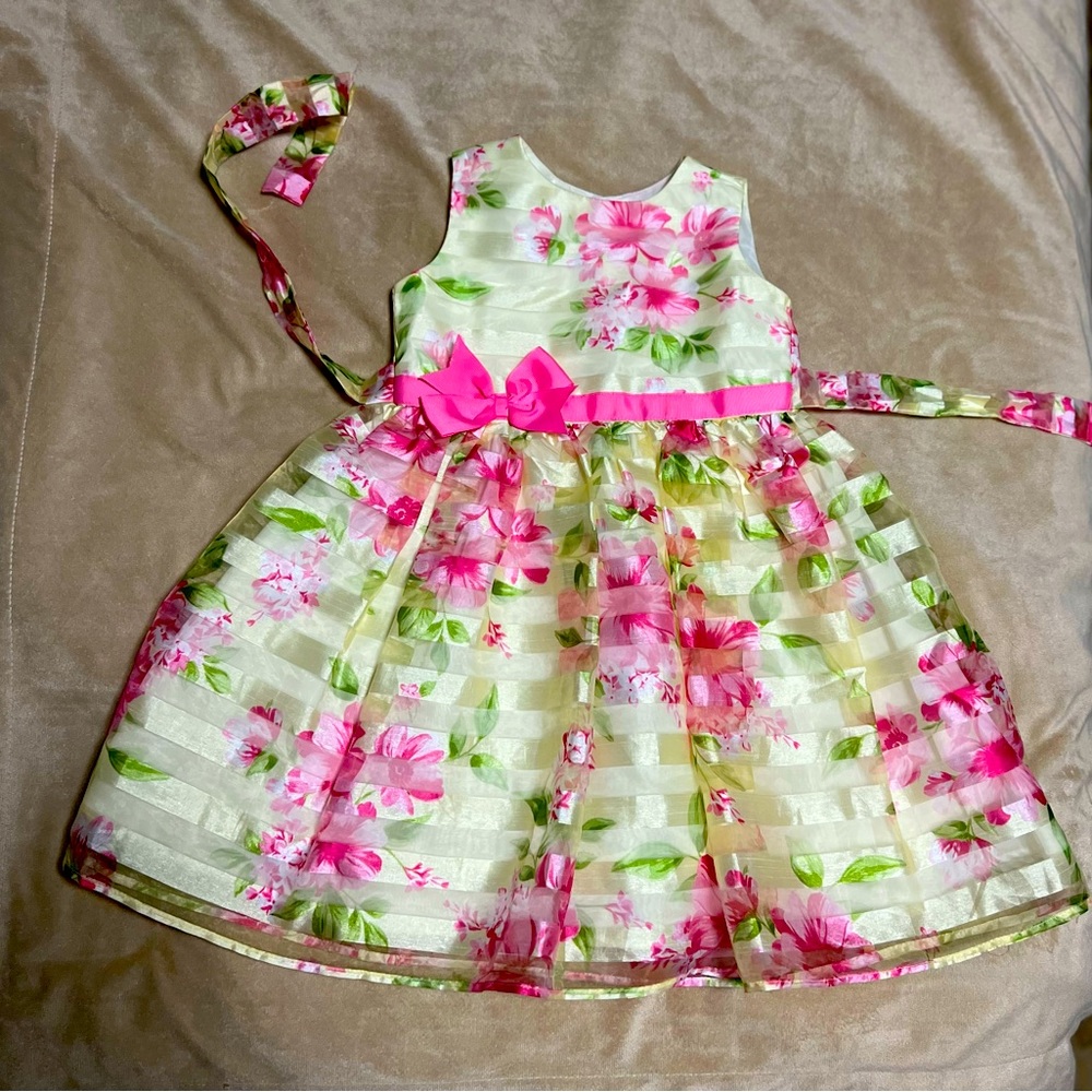Party dress 4T. Worn a couple of times. Clean and looks like new.
